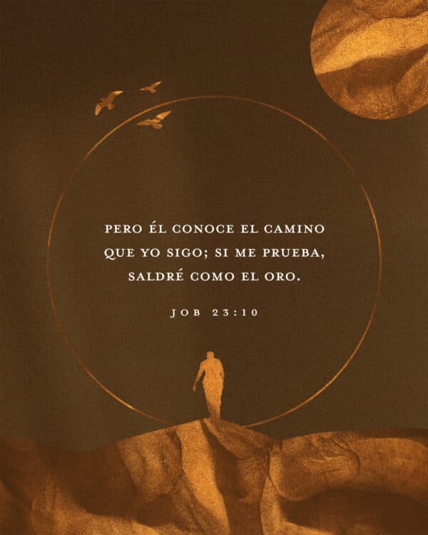 Pero Él conoce el camino que yo sigo; si me prueba, saldré como el oro. - Job 23:10