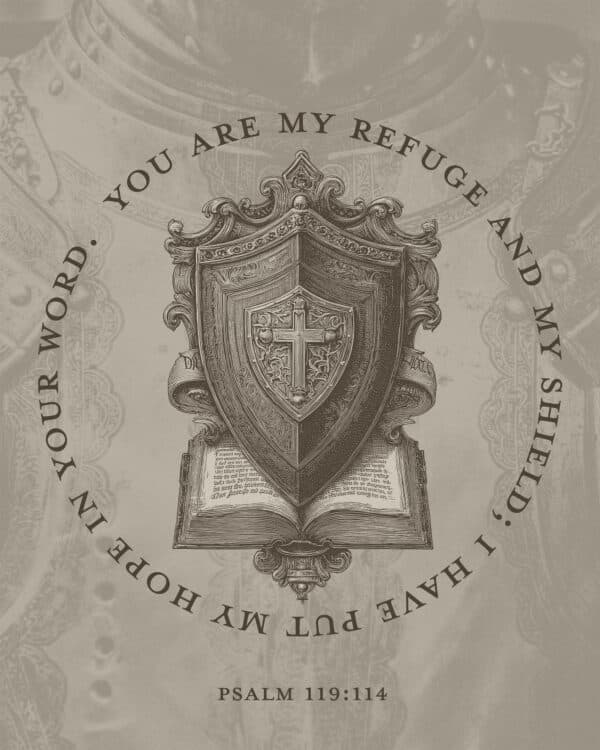 You are my refuge and my shield; I have put my hope in your word. - Psalm 119:114