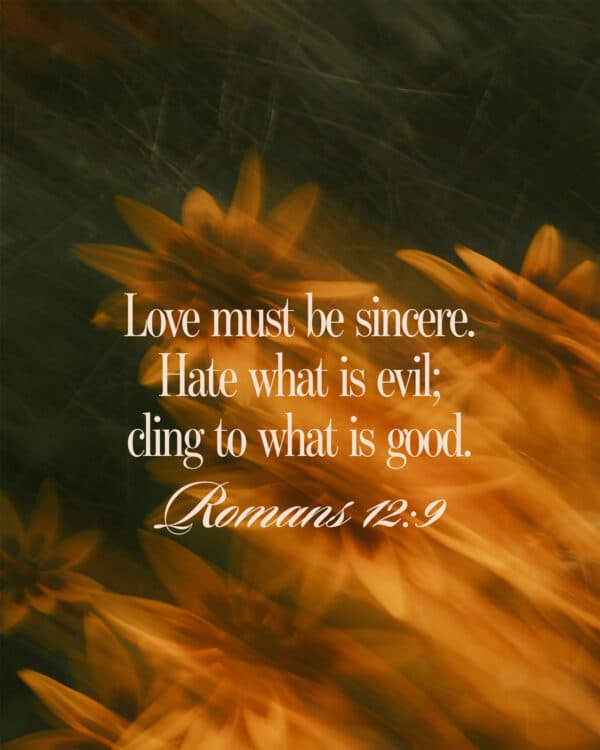 Love must be sincere. Hate what is evil; cling to what is good. - Romans 12:9