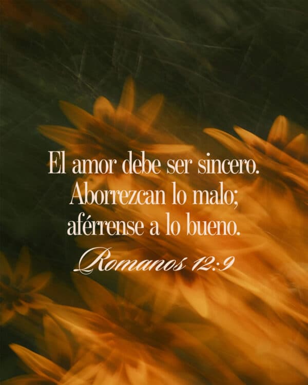 El amor debe ser sincero. Aborrezcan lo malo; aférrense a lo bueno. - Romanos 12:9