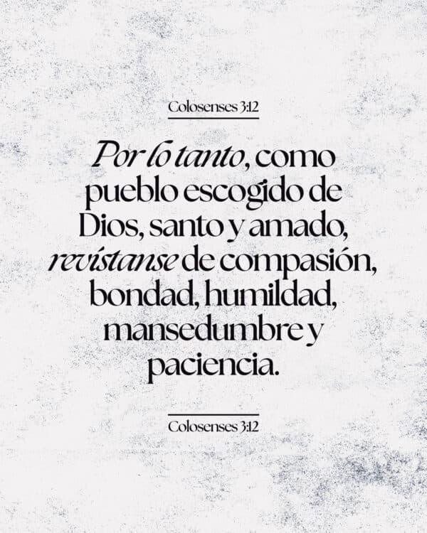 Por lo tanto, como pueblo escogido de Dios, santo y amado, revístanse de compasión, bondad, humildad, mansedumbre y paciencia. - Colosenses 3:12