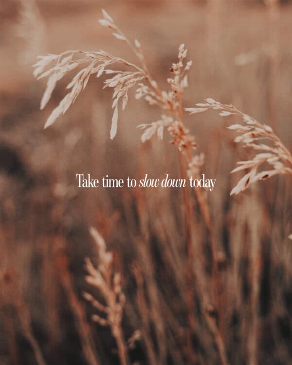 Take time to slow down today