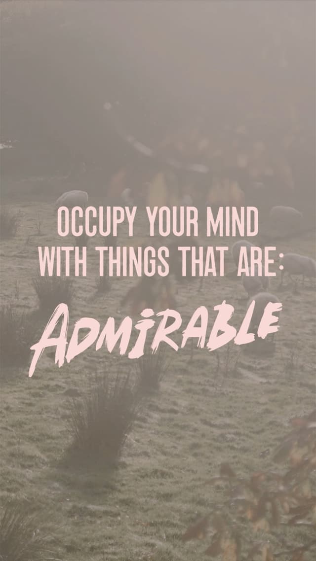 Occupy your mind with things...
