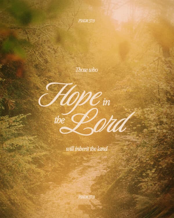 Those who hope in the Lord will inherit the land. - Psalm 37:9