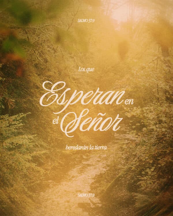Los que esperan en el Señor heredarán la tierra. - Salmo 37:9