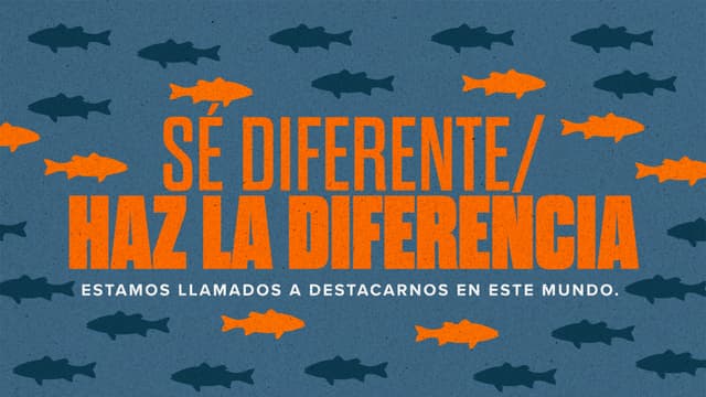 Sé diferente / Haz la diferencia: Estamos llamados a destacarnos en este mundo.