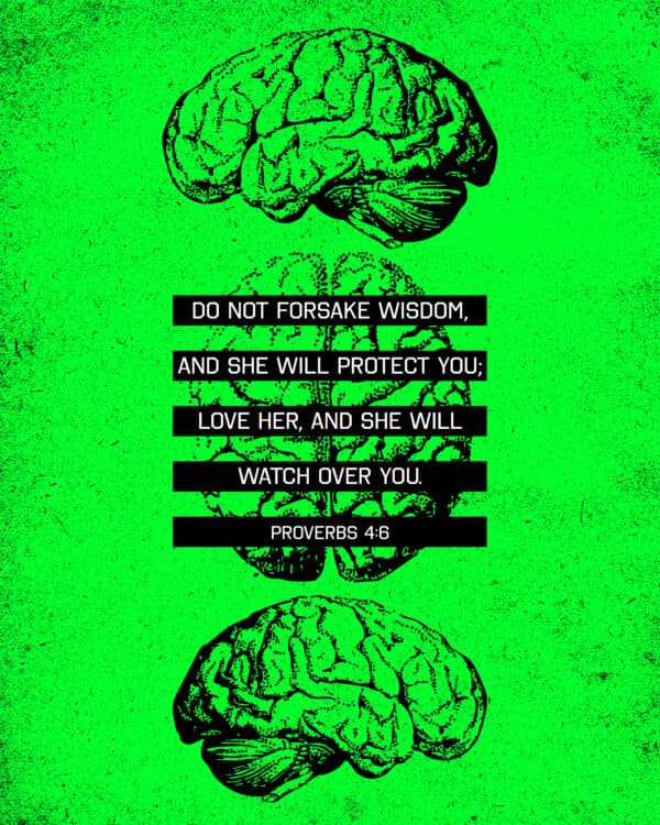 Do not forsake wisdom, and she will protect you; love her, and she will watch over you. - Proverbs 4:6