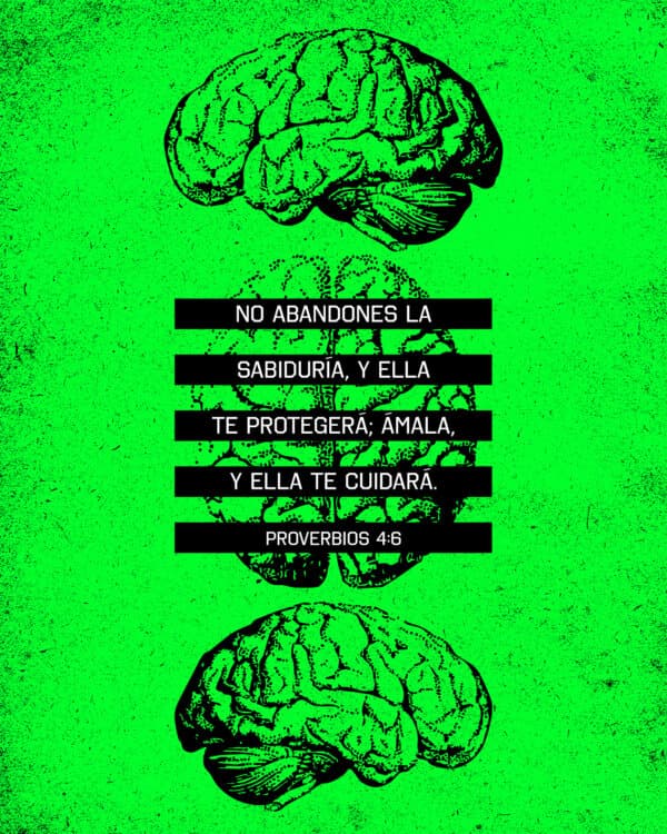 No abandones la sabiduría, y ella te protegerá; ámala, y ella te cuidará. - Proverbios 4:6