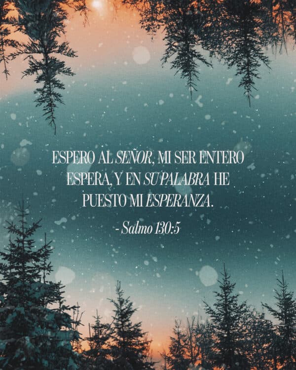 I wait for the Lord, my whole being waits, and in his word I put my hope. - Psalm 130:5