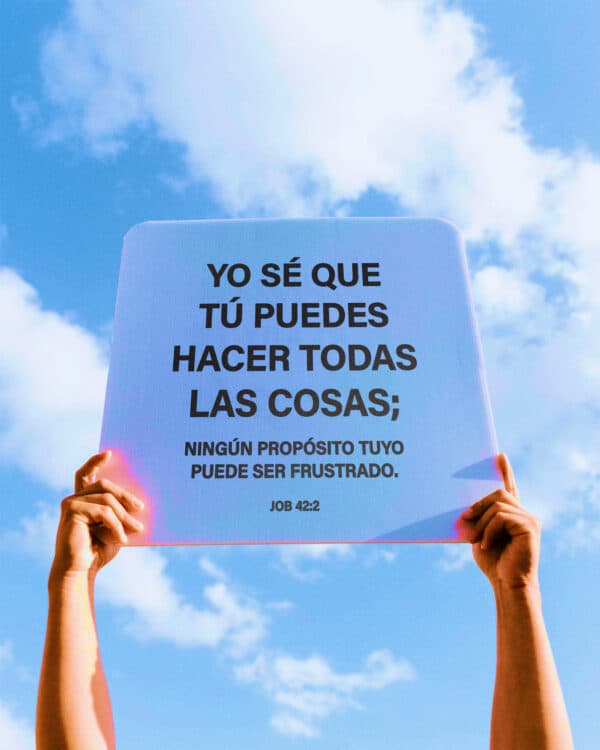 Yo sé que Tú puedes hacer todas las cosas; ningún propósito tuyo puede ser frustrado. - Job 42:2