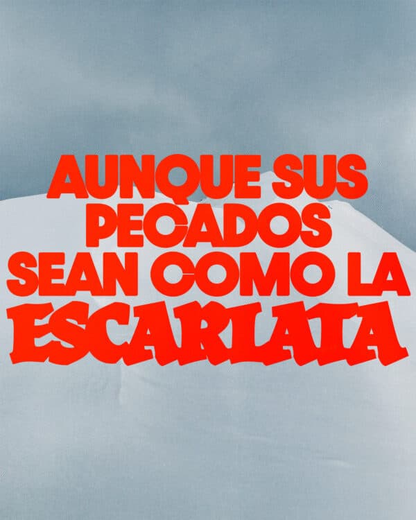 Aunque sus pecados sean como la escarlata, serán blancos como la nieve; aunque sean rojos como el carmesí, vendrán a ser como la lana. - Isaías 1:18