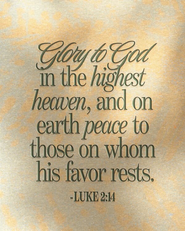 Glory to God in the highest heaven, and on earth peace to those on whom his favor rests. - Luke 2:14