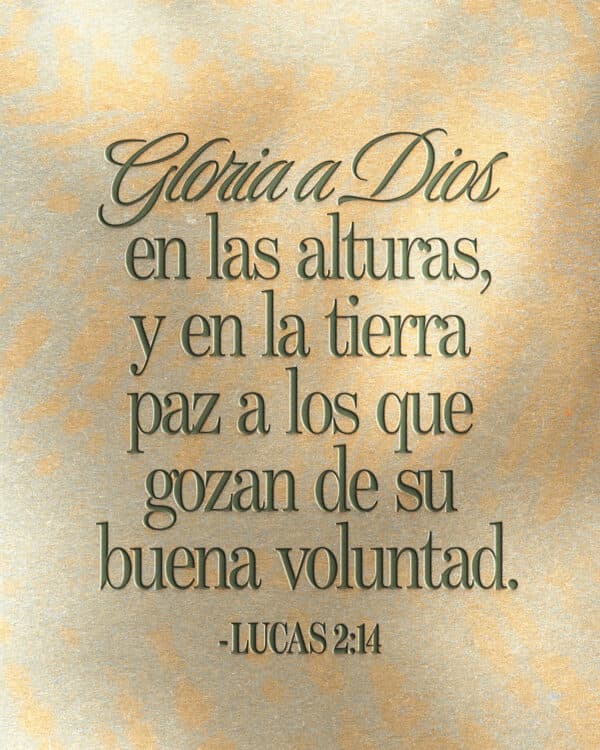 Gloria a Dios en las alturas, y en la tierra paz a los que gozan de su buena voluntad. - Lucas 2:14