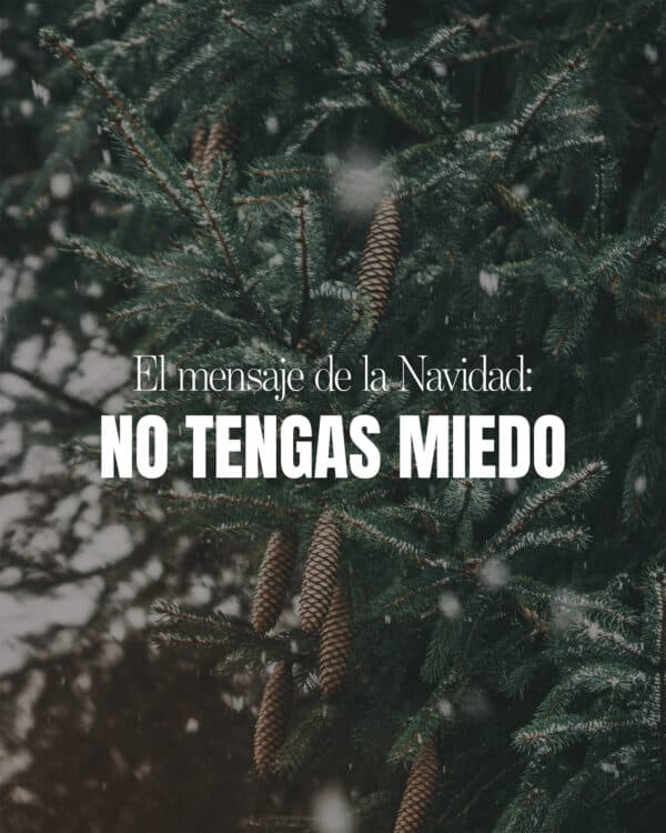El mensaje de la Navidad: No tengas miedo