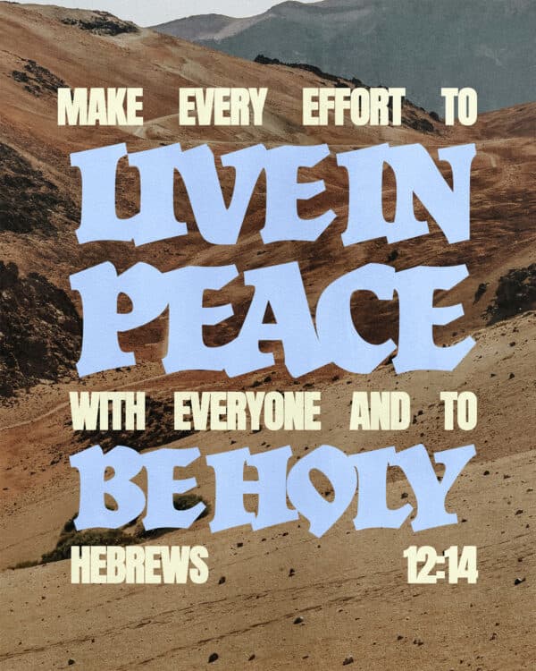 Make every effort to live in peace with everyone and to be holy. - Hebrews 12:14