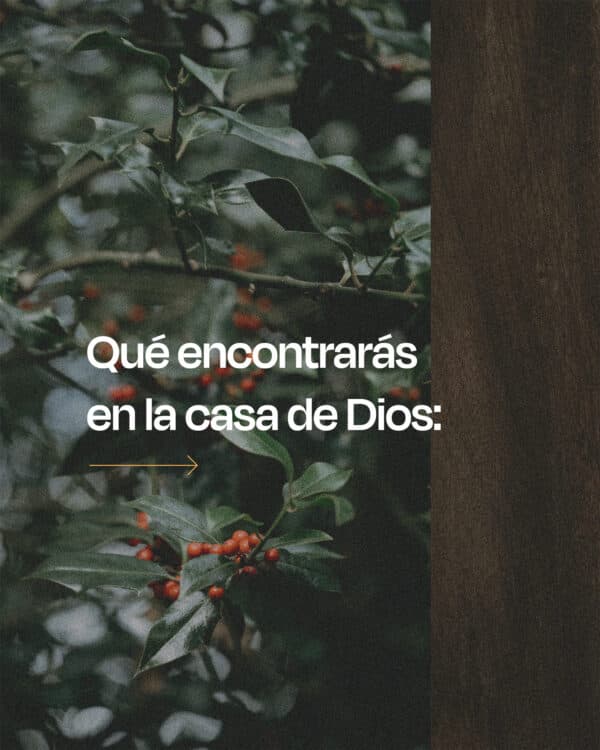 Qué encontrarás en la casa de Dios: