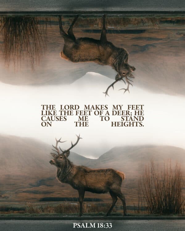 The Lord makes my feet like the feet of a deer; he causes me to stand on the heights. - Psalm 18:33