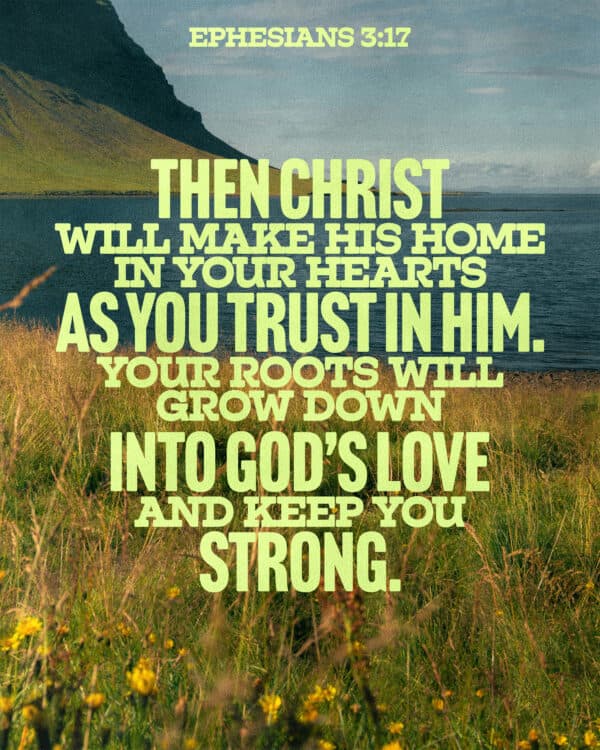 So that Christ may dwell in your hearts through faith. And I pray that you, being rooted and established in love. - Ephesians 3:17