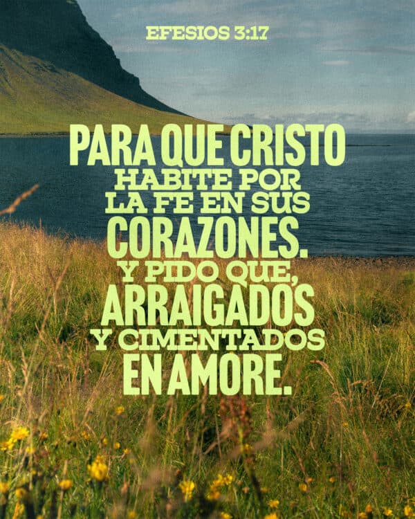 Para que Cristo habite por la fe en sus corazones. Y pido que, arraigados y cimentados en amor. - Efesios 3:17