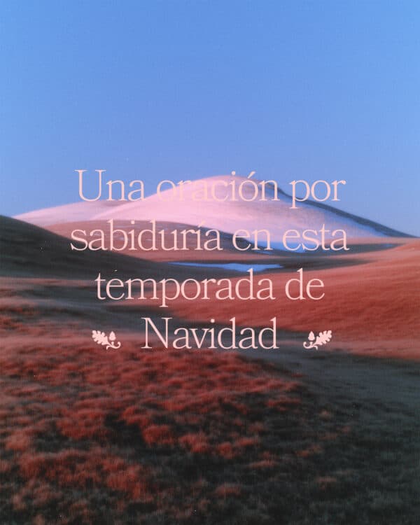Una oración por sabiduría en esta temporada de Navidad