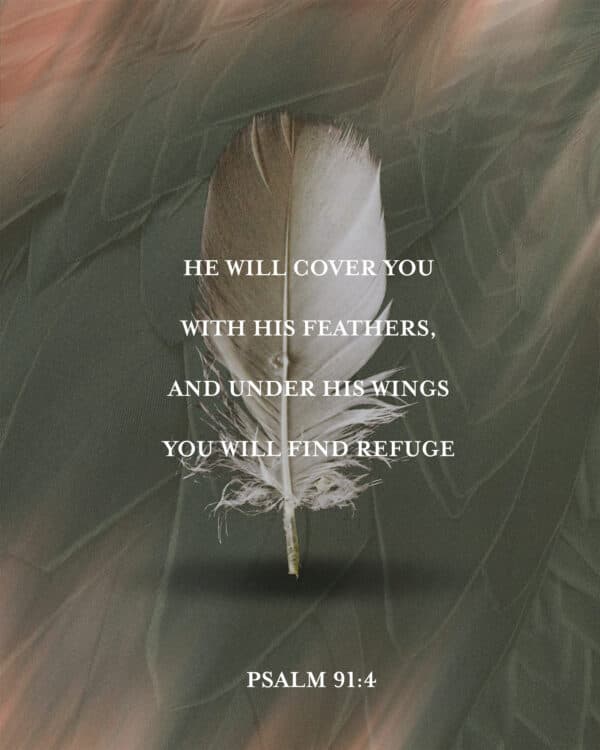 He will cover you with his feathers, and under his wings you will find refuge - Psalm 91:4