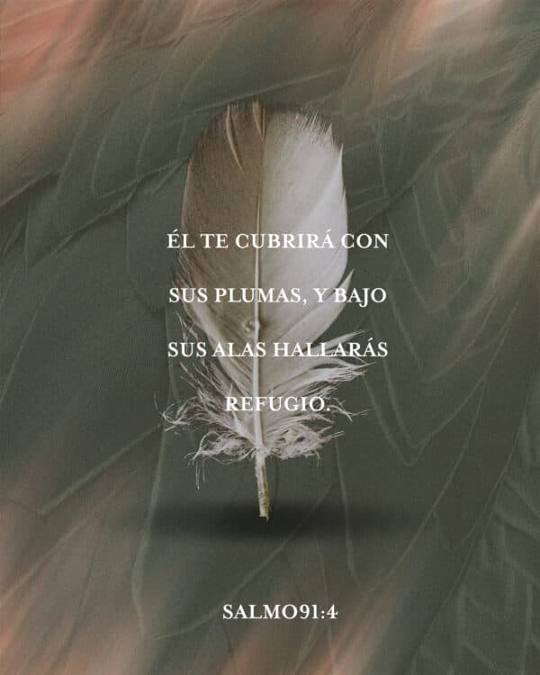 Él te cubrirá con sus plumas, y bajo sus alas hallarás refugio. – Salmo 91:4