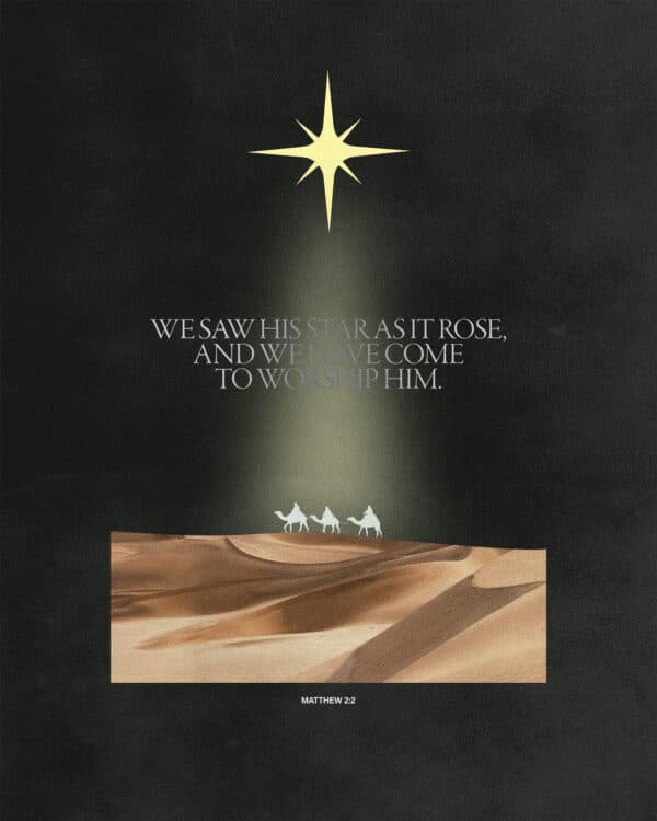 We saw his star as it rose, and we have come to worship him. - Matthew 2:2