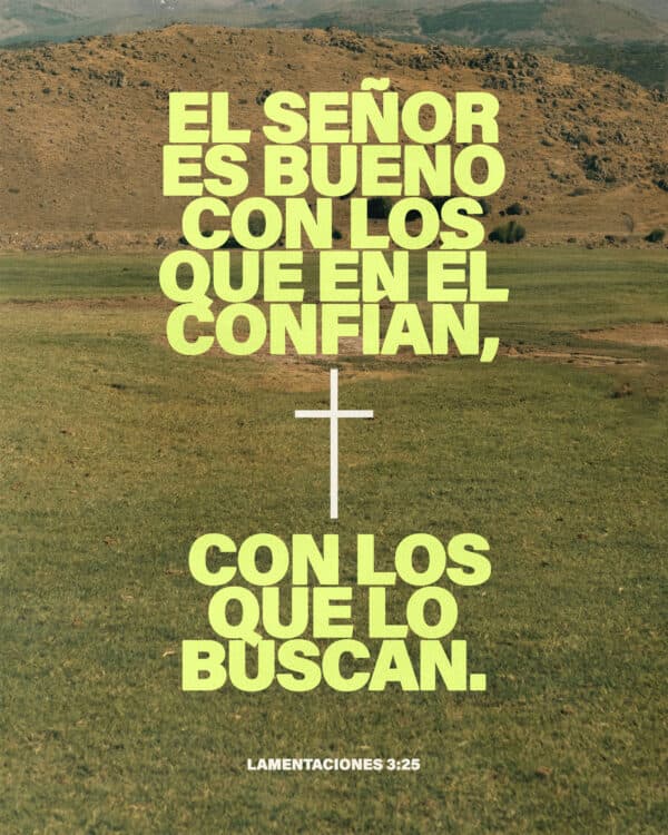 El SEÑOR es bueno con los que en Él confían, con los que lo buscan. — Lamentaciones 3:25