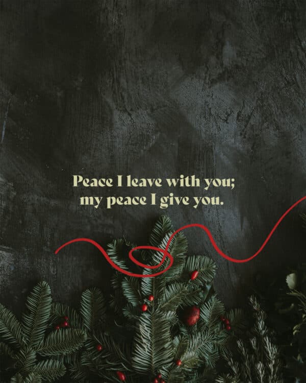 Peace I leave with you; my peace I give you. I do not give to you as the world gives. Do not let your hearts be troubled and do not be afraid. - John 14:27