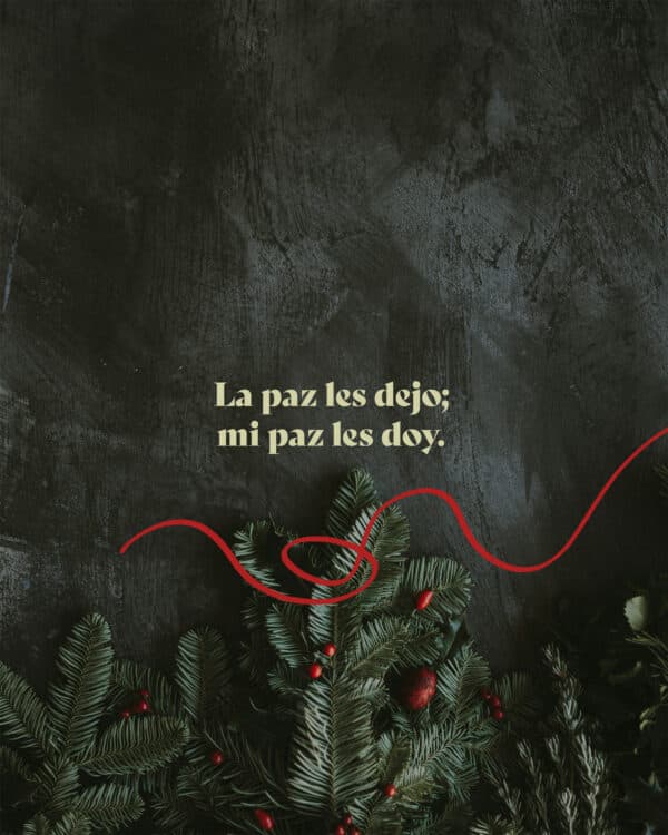 La paz les dejo; mi paz les doy. Yo no se la doy a ustedes como la da el mundo. No se angustien ni tengan miedo. - Juan 14:27