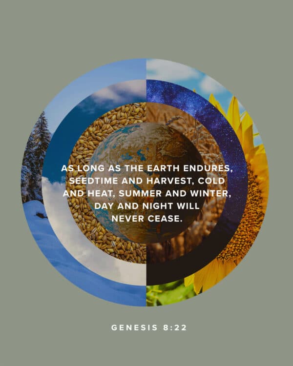 As long as the earth endures, seedtime and harvest, cold and heat, summer and winter, day and night will never cease. - Genesis 8:22