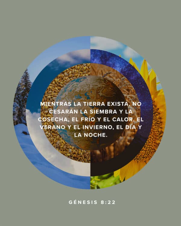 Mientras la tierra exista, no cesarán la siembra y la cosecha, el frío y el calor, el verano y el invierno, el día y la noche. - Génesis 8:22