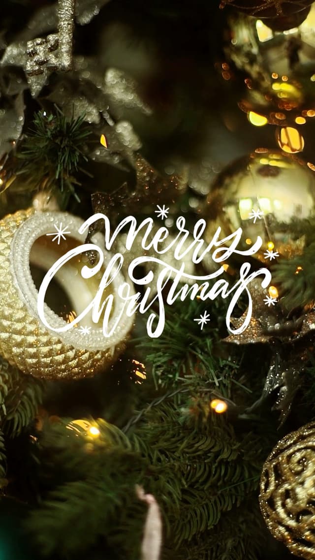 Merry Christmas