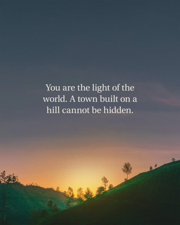 You are the light of the world. A town built on a hill cannot be hidden. Neither do people light a lamp and put it under a bowl. Instead they put it on its stand, and it gives light to everyone in the house. In the same way, let your light shine before others that they may see your good deeds and glorify your Father in heaven. - Matthew 5:14-16