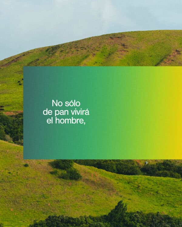 No sólo de pan vivirá el hombre, sino de toda palabra que sale de la boca de Dios. — Mateo 4:4