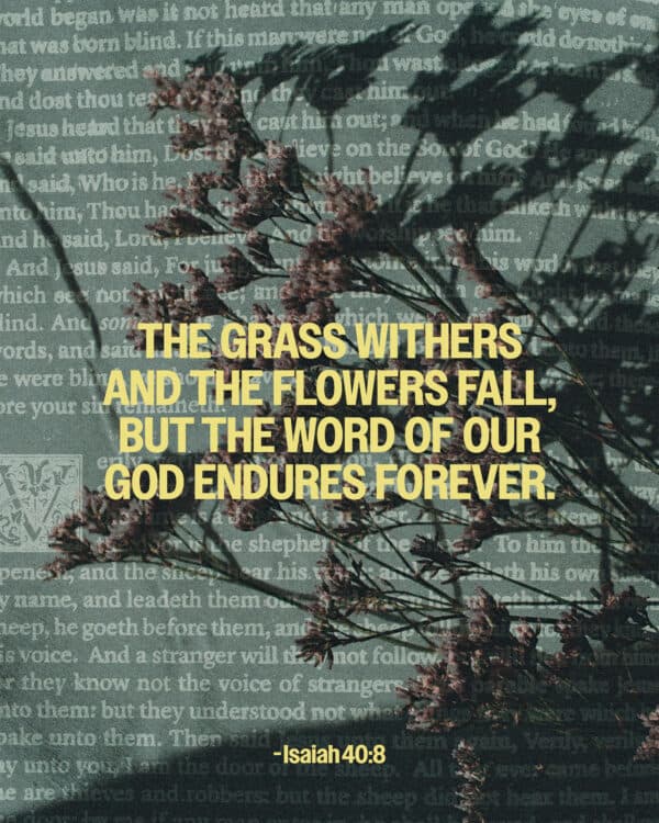 The grass withers and the flowers fall, but the word of our God endures forever. - Isaiah 40:8