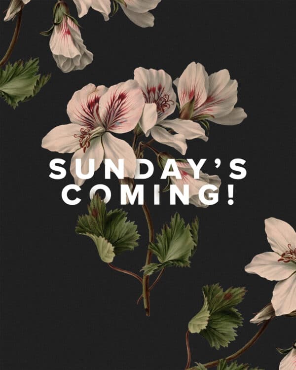Sunday's coming!