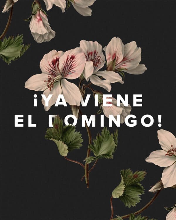 ¡Ya viene el domingo!