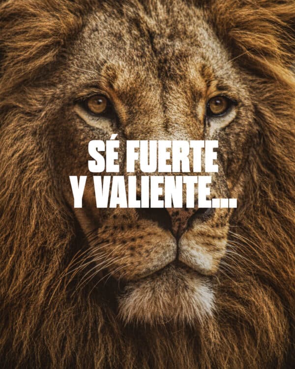 Sé fuerte y valiente. No tengas miedo ni te desanimes porque el Señor tu Dios estará contigo dondequiera que vayas. - Josué 1:9