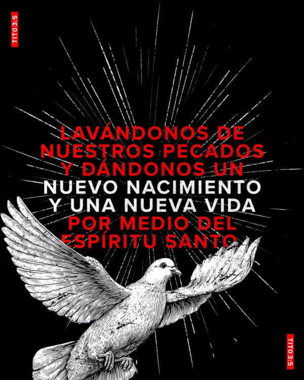 Él nos salvó, no por nuestras propias obras de justicia, sino por su misericordia, lavándonos de nuestros pecados y dándonos un nuevo nacimiento y una nueva vida por medio del Espíritu Santo. – Tito 3:5