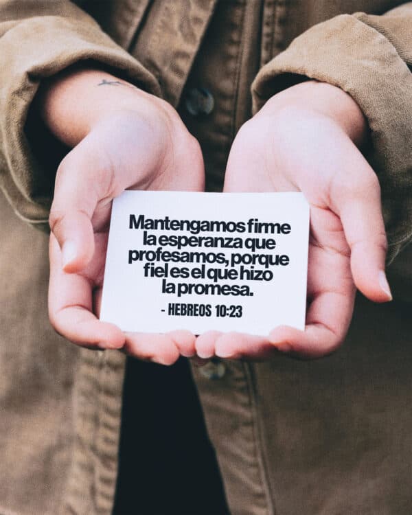 Mantengamos firme la esperanza que profesamos, porque fiel es el que hizo la promesa. - Hebreos 10:23