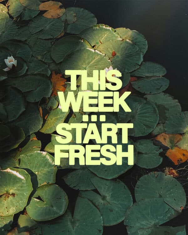 This week...start fresh