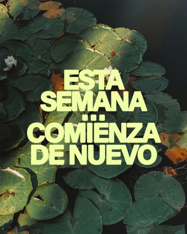 Esta semana...comienza de nuevo
