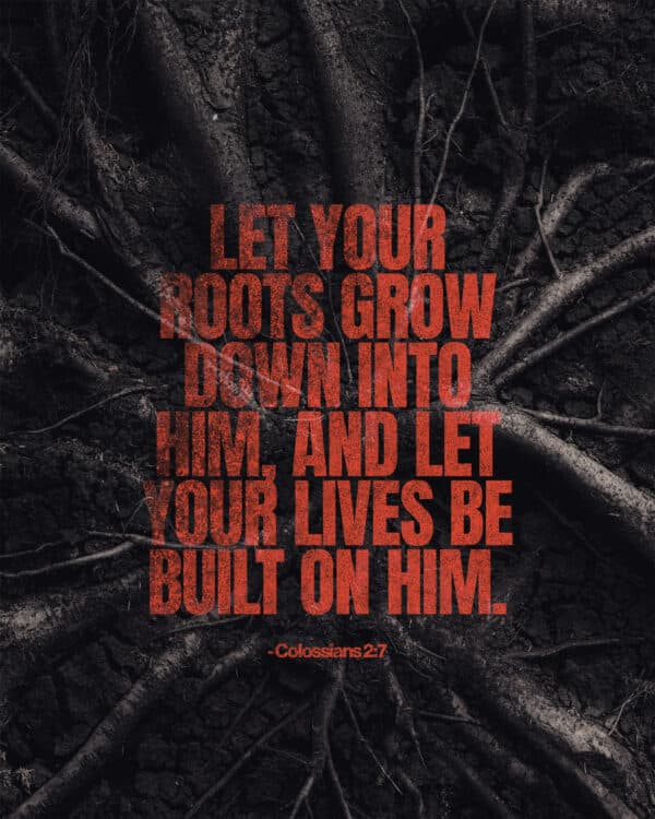 Let your roots grow down into him, and let your lives be built on him. - Colossians 2:7