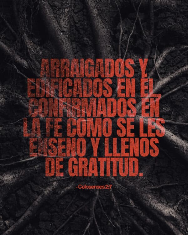 Arraigados y edificados en Él, confirmados en la fe como se les enseñó y llenos de gratitud. - Colosenses 2:7