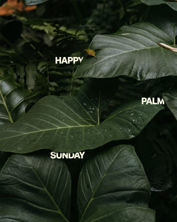 Happy Palm Sunday
