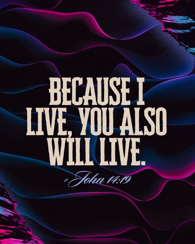 Scripture Posts