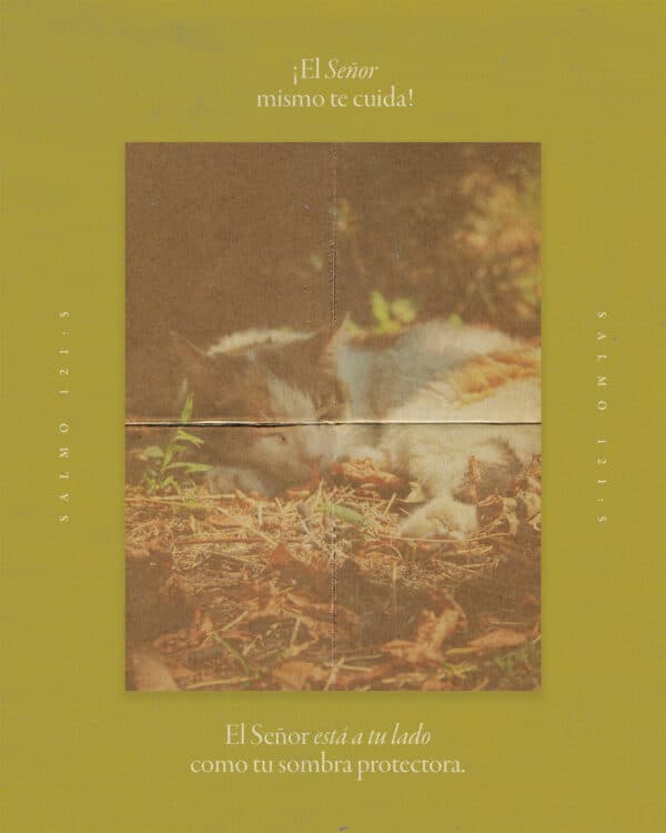 ¡El Señor mismo te cuida! El Señor está a tu lado como tu sombra protectora. — Salmo 121:5