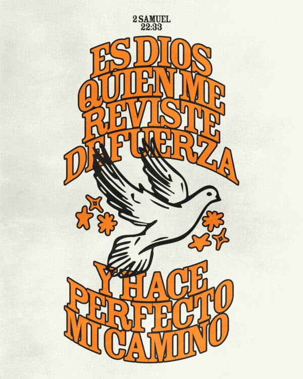 Es Dios quien me reviste de fuerza y hace perfecto mi camino. - 2 Samuel 22:33