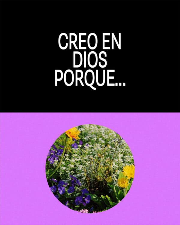Creo en Dios porque…